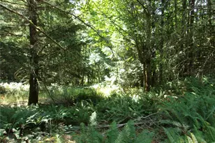 371 Green Mountain Ln, Brinnon, WA 98320 - Photo 15