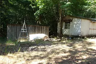 371 Green Mountain Ln, Brinnon, WA 98320 - Photo 13