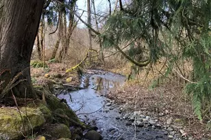 19510 190th Ave E, Orting, WA 98360 - Photo 39