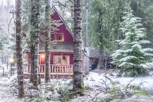 38423 570th St Ct E, Ashford, WA 98304 - Photo 29