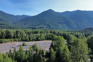 38423 570th St Ct E, Ashford, WA 98304 - Photo 27