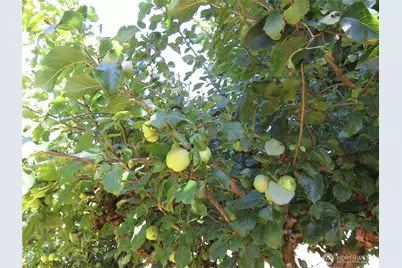 21 Wynooche Valley Road, Montesano, WA 98563 - Photo 37