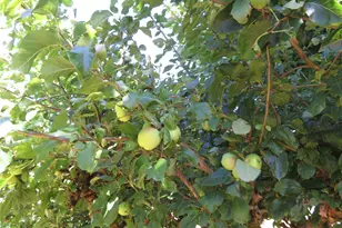 21 Wynooche Valley Rd, Montesano, WA 98563 - Photo 37