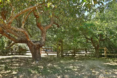 5772 Captain Vancouver Drive, Langley, WA 98260 - Photo 31