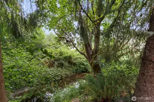 220 California St, Pe Ell, WA 98572 - Photo 35