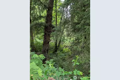 0 Lot 14 Lamontay Place, Ilwaco, WA 98624 - Photo 3