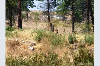 0 Mountain Point Rd, Brewster, WA 98812 - Photo 5