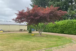 234 SE E St, Forks, WA 98331 - Photo 29