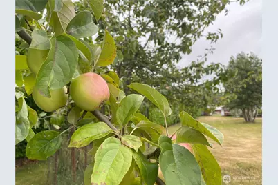 234 SE E St, Forks, WA 98331 - Photo 31