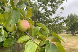 234 SE E St, Forks, WA 98331 - Photo 31