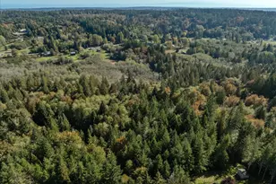 10532 Olalla Valley Rd, Olalla, WA 98359 - Photo 33