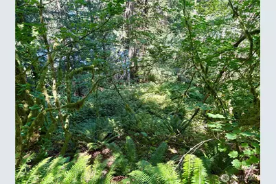 0 E Lake Walker Drive SE, Enumclaw, WA 98022 - Photo 15