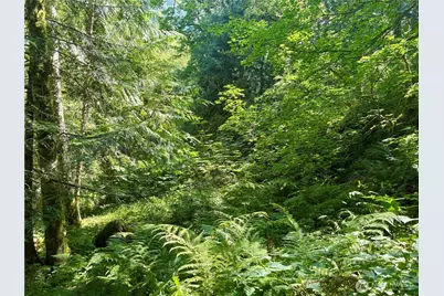 0 E Lake Walker Drive SE, Enumclaw, WA 98022 - Photo 19