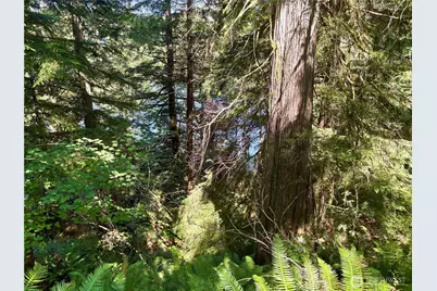 0 E Lake Walker Drive SE, Enumclaw, WA 98022 - Photo 17