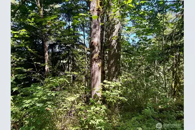 0 E Lake Walker Drive SE, Enumclaw, WA 98022 - Photo 13