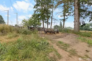 23831 384th Street SE, Enumclaw, WA 98022 - Photo 5