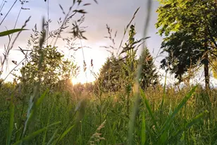 23831 384th Street SE, Enumclaw, WA 98022 - Photo 25