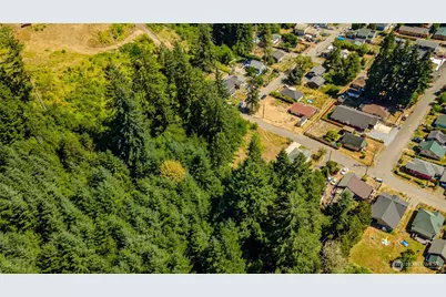 0 Rhobina Street, Centralia, WA 98531 - Photo 9