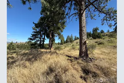 0 Lot 12 Lambert Mt. Road, Republic, WA 99166 - Photo 27