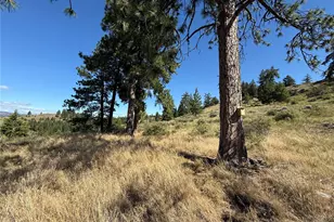 0 Lot 12 Lambert Mt Rd, Republic, WA 99166 - Photo 27