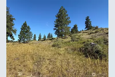 0 Lot 12 Lambert Mt. Road, Republic, WA 99166 - Photo 23