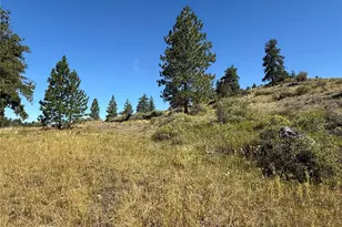 0 Lot 12 Lambert Mt Rd, Republic, WA 99166 - Photo 23