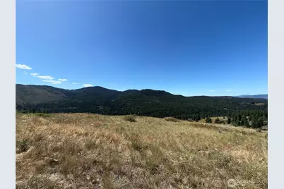 0 Lot 12 Lambert Mt. Road, Republic, WA 99166 - Photo 21