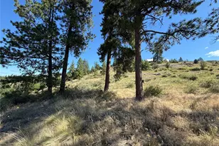 0 Lot 12 Lambert Mt Rd, Republic, WA 99166 - Photo 29