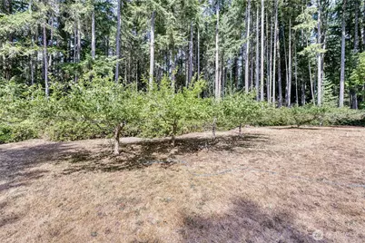 11273 Kiptree Lane NW, Silverdale, WA 98383 - Photo 35