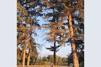 23831 384th Street SE, Enumclaw, WA 98022 - Photo 3