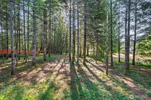 1335 Centralia Alpha Rd, Chehalis, WA 98532 - Photo 31