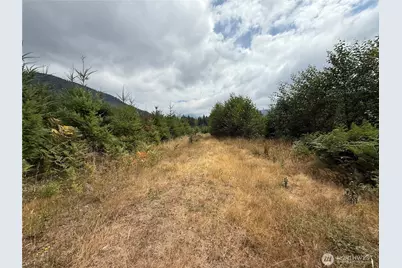 327 Xx Kolisch Road E, Carbonado, WA 98323 - Photo 9