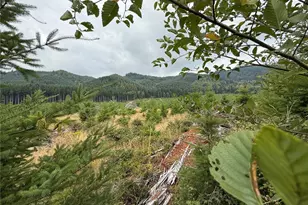 327 Xx Kolisch Road E, Carbonado, WA 98323 - Photo 3