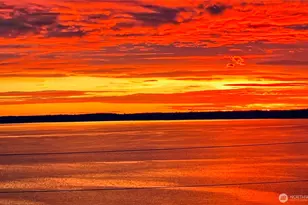 415 N State St, Bellingham, WA 98225 - Photo 3