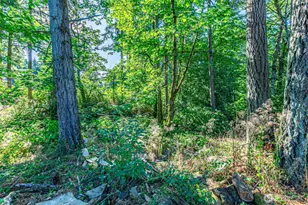 36922 6th Ave SW, Federal Way, WA 98023 - Photo 3