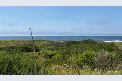 615 Dune Crest Loop, Westport, WA 98595 - Photo 11