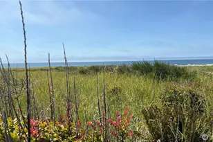 615 Dune Crest Loop, Westport, WA 98595 - Photo 1