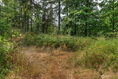 2411 Sleater Kinney Road NE, Olympia, WA 98506 - Photo 9