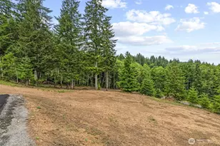 117 Red Hawk Dr, Castle Rock, WA 98611 - Photo 5