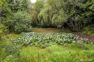 4802 Olympic Hwy, Aberdeen, WA 98520 - Photo 31