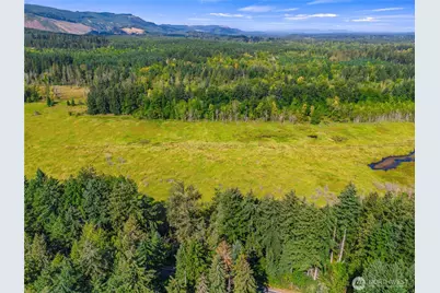 0 Bald Hills Road, Yelm, WA 98597 - Photo 3