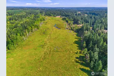 0 Bald Hills Road, Yelm, WA 98597 - Photo 9