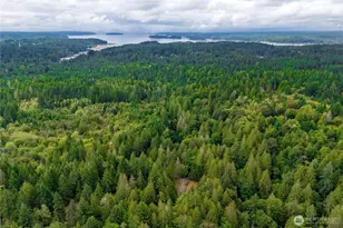 13613 186th Ave NW, Gig Harbor, WA 98329 - Photo 39