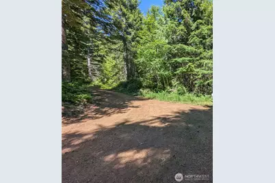 111 Dow Mtn Road, Hoodsport, WA 98548 - Photo 1
