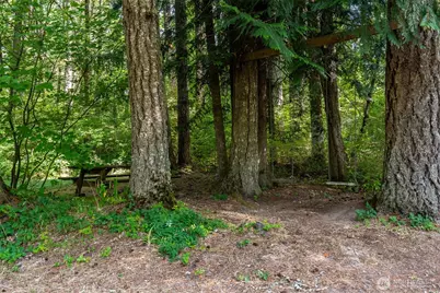 12909 Silver Creek Drive SE, Tenino, WA 98589 - Photo 39