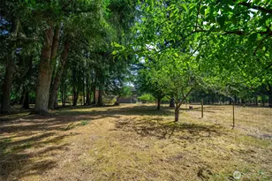 12909 Silver Creek Dr SE, Tenino, WA 98589 - Photo 29