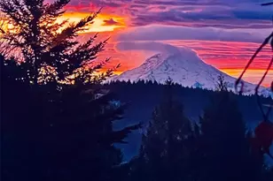 7718 Springfield Dr NW, Gig Harbor, WA 98329 - Photo 39