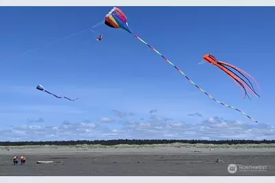 232 Fisher Avenue NE, Ocean Shores, WA 98569 - Photo 29