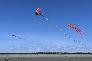 232 Fisher Ave NE, Ocean Shores, WA 98569 - Photo 29