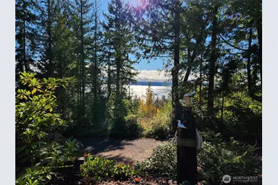 222 Towhee Lane, Brinnon, WA 98320 - Photo 3